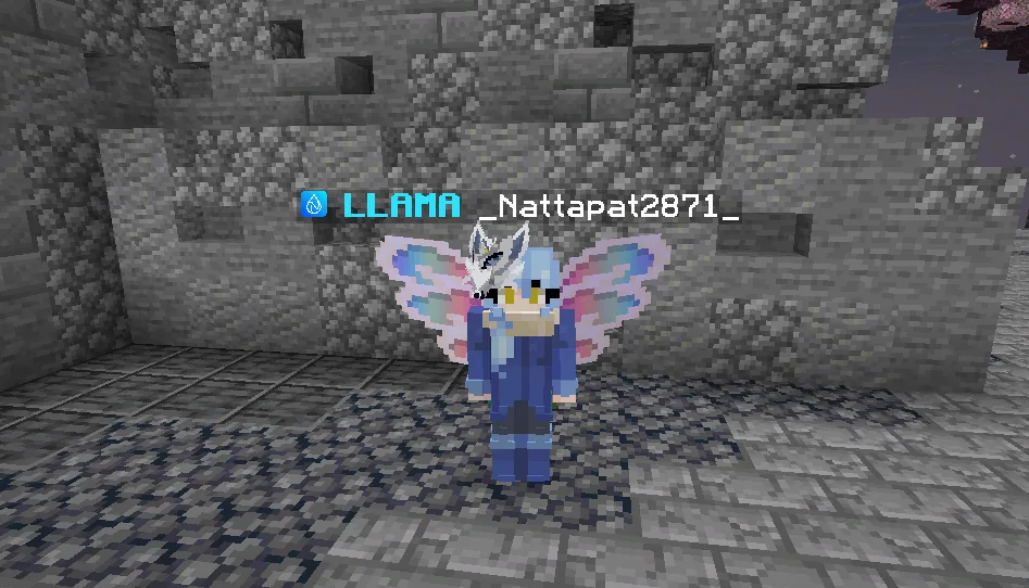NamLauncher identity in Minecraft